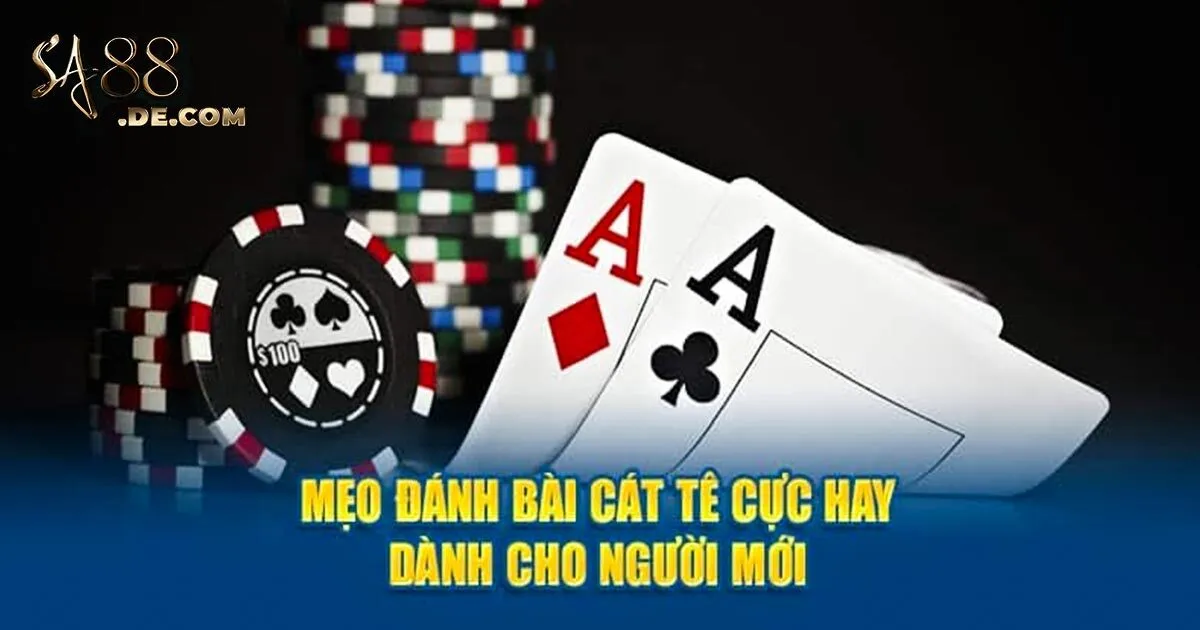 Bí quyết đánh bài catte chắc thắng từ lão làng